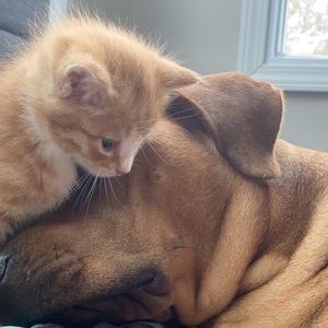 Meet your Posher, Olivia